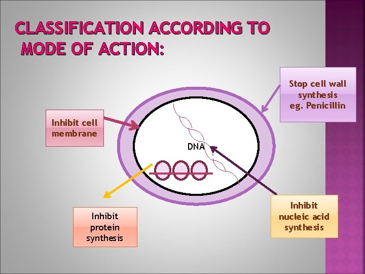 CLASSIFICATION ACCORDING TO MODE OF ACTION: Stop cell wall synthesis eg. Penicillin Inhibit cell