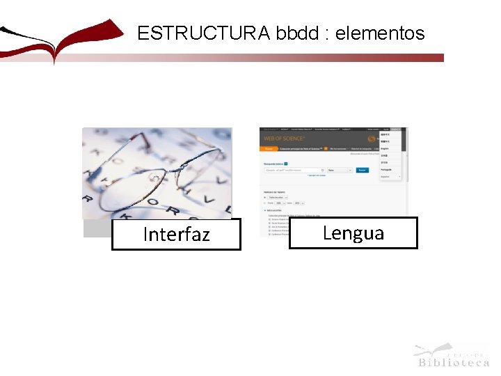 ESTRUCTURA bbdd : elementos Interfaz Lengua 