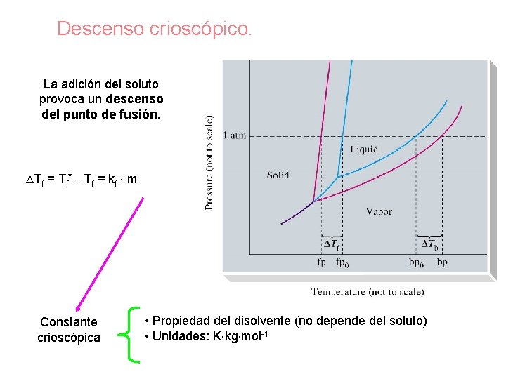 Descenso crioscópico. La adición del soluto provoca un descenso del punto de fusión. Tf