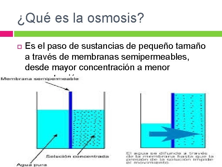 ¿Qué es la osmosis? Es el paso de sustancias de pequeño tamaño a través