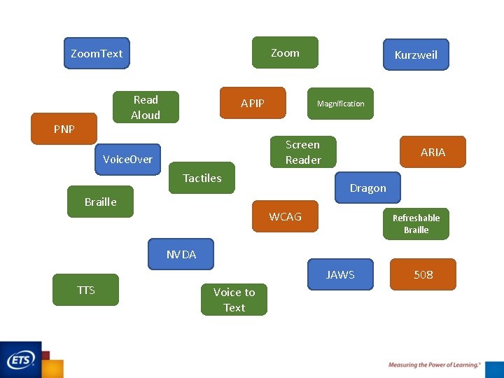 Zoom. Text Read Aloud PNP APIP Kurzweil Magnification Screen Reader Voice. Over Tactiles Braille