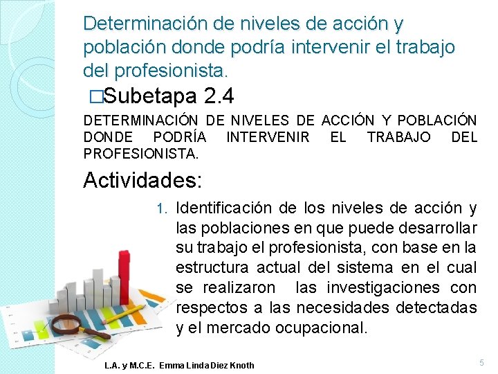 Determinación de niveles de acción y población donde podría intervenir el trabajo del profesionista.