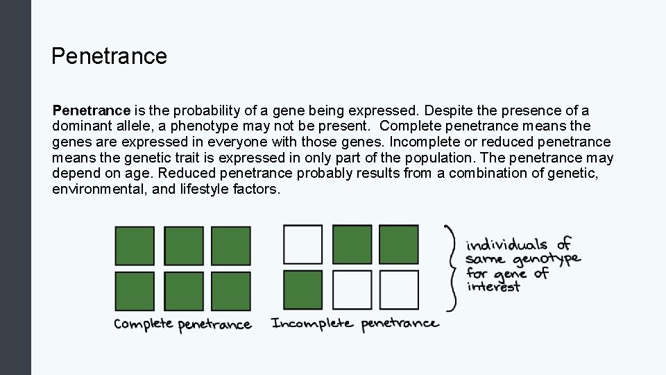 Penetrance is the probability of a gene being expressed. Despite the presence of a