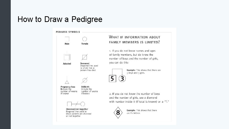 How to Draw a Pedigree 