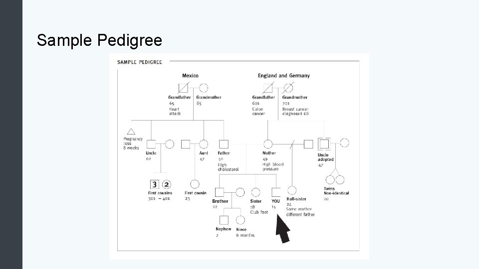 Sample Pedigree 