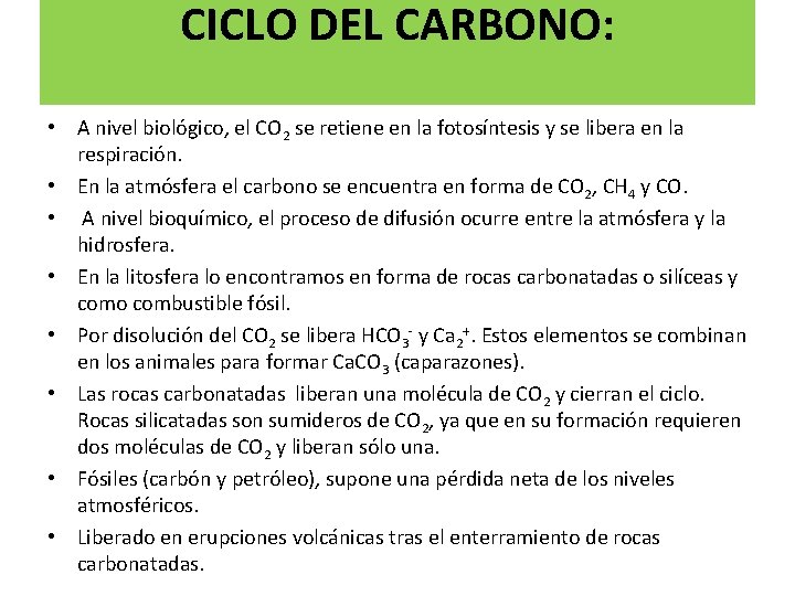 CICLO DEL CARBONO: • A nivel biológico, el CO 2 se retiene en la