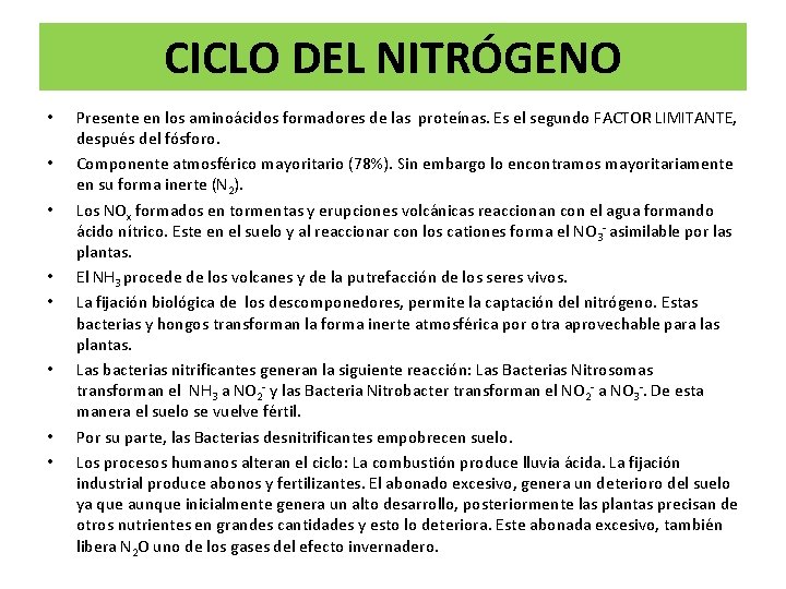 CICLO DEL NITRÓGENO • • Presente en los aminoácidos formadores de las proteínas. Es