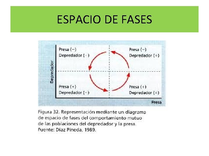 ESPACIO DE FASES 