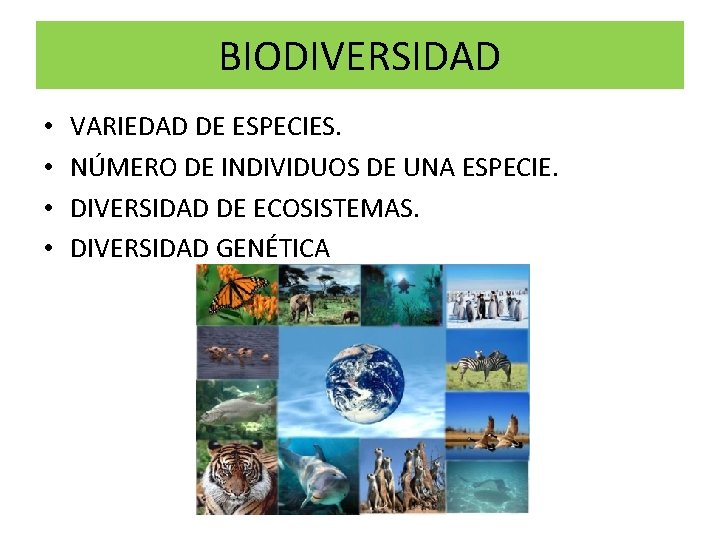 BIODIVERSIDAD • • VARIEDAD DE ESPECIES. NÚMERO DE INDIVIDUOS DE UNA ESPECIE. DIVERSIDAD DE