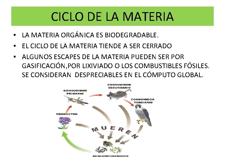 CICLO DE LA MATERIA • LA MATERIA ORGÁNICA ES BIODEGRADABLE. • EL CICLO DE