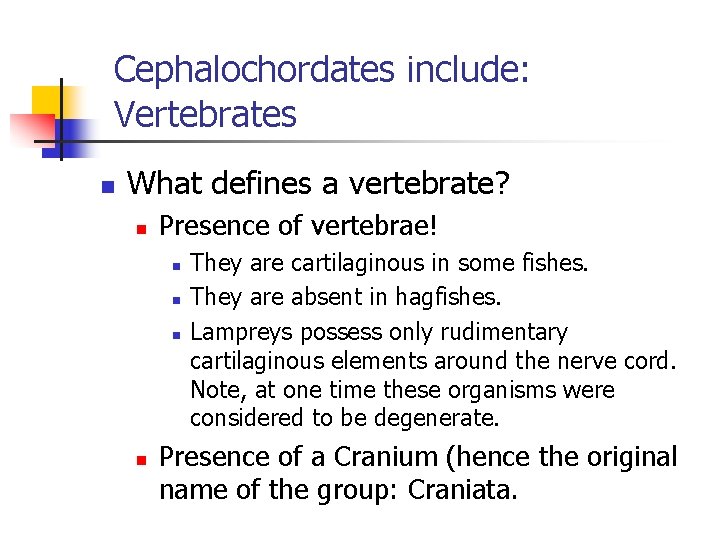 Cephalochordates include: Vertebrates n What defines a vertebrate? n Presence of vertebrae! n n
