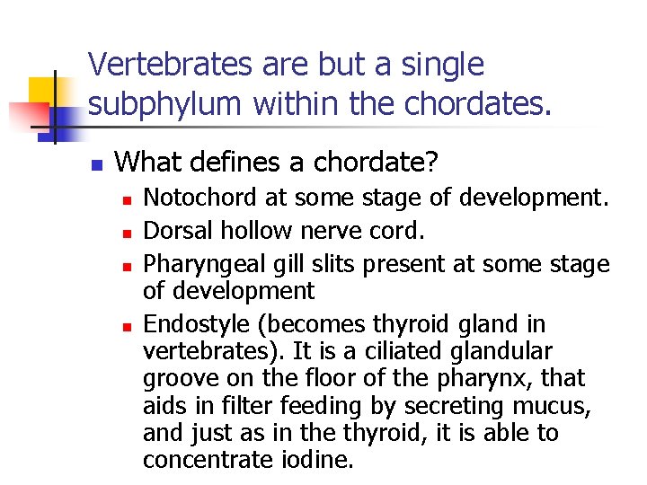 Vertebrates are but a single subphylum within the chordates. n What defines a chordate?