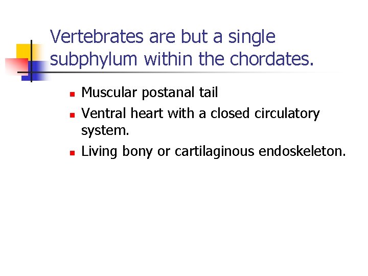 Vertebrates are but a single subphylum within the chordates. n n n Muscular postanal