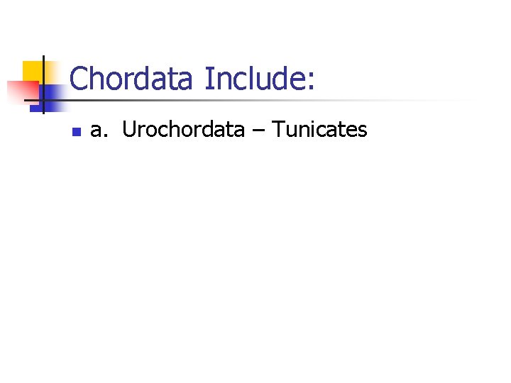 Chordata Include: n a. Urochordata – Tunicates 