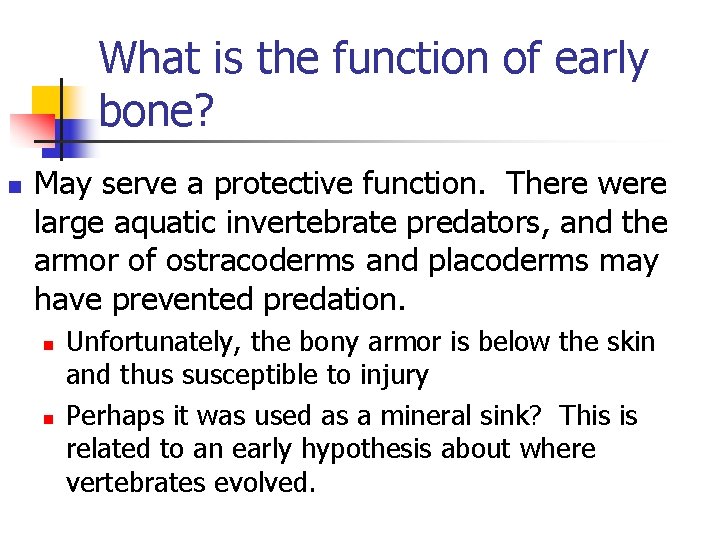 What is the function of early bone? n May serve a protective function. There