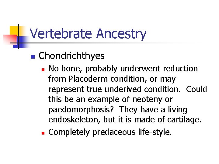 Vertebrate Ancestry n Chondrichthyes n n No bone, probably underwent reduction from Placoderm condition,