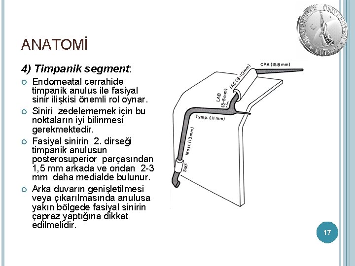 ANATOMİ 4) Timpanik segment: Endomeatal cerrahide timpanik anulus ile fasiyal sinir ilişkisi önemli rol