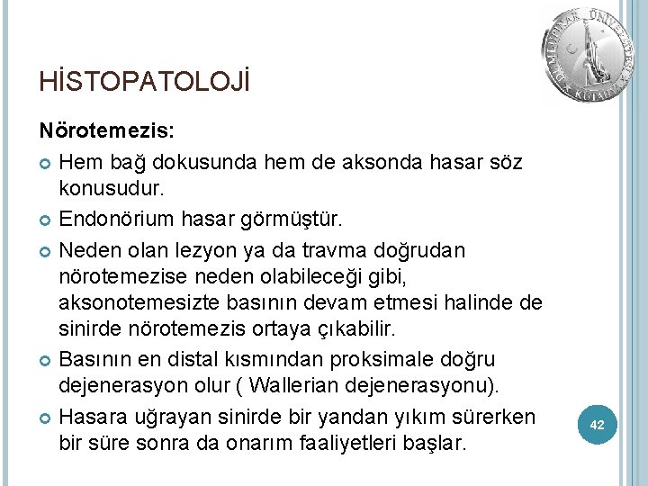 HİSTOPATOLOJİ Nörotemezis: Hem bağ dokusunda hem de aksonda hasar söz konusudur. Endonörium hasar görmüştür.