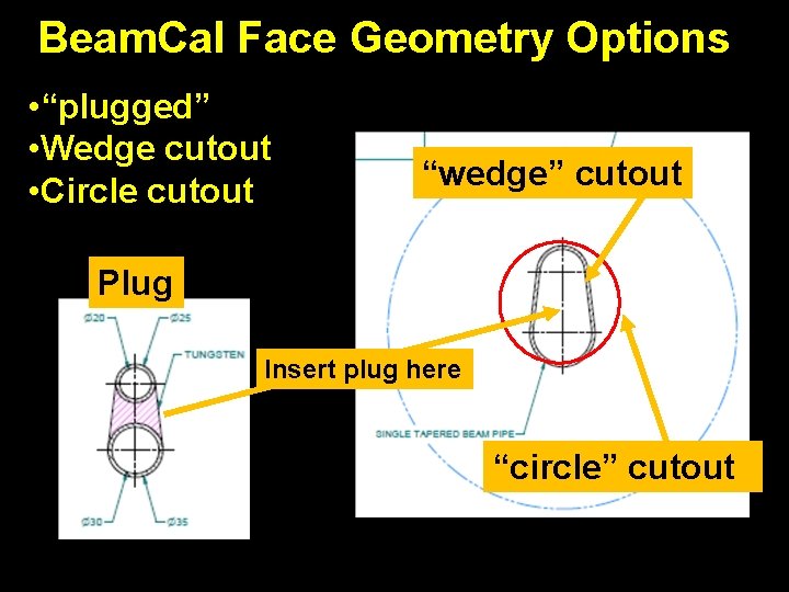 Beam. Cal Face Geometry Options • “plugged” • Wedge cutout • Circle cutout “wedge”