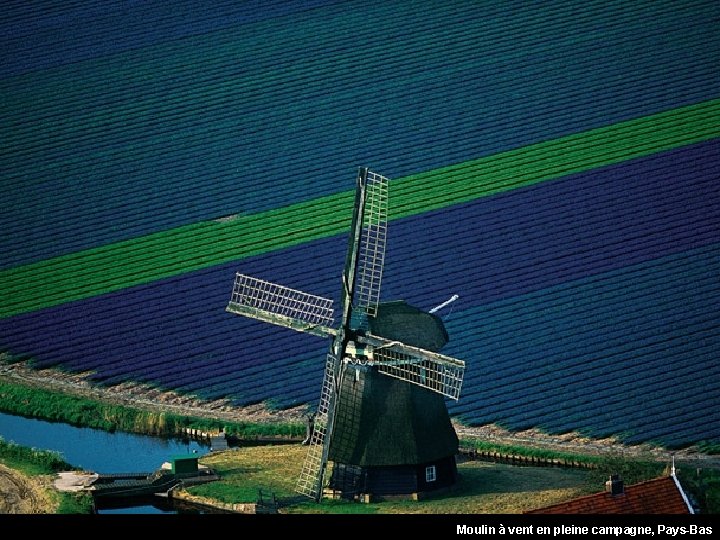 Molino en medio de los campos, Países Bajos Moulin à vent en pleine campagne,