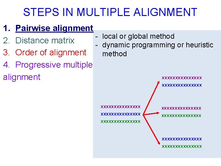 STEPS IN MULTIPLE ALIGNMENT 1. Pairwise alignment - local or global method 2. Distance