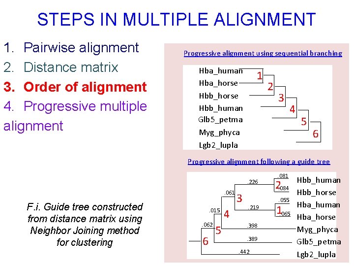 STEPS IN MULTIPLE ALIGNMENT 1. Pairwise alignment 2. Distance matrix 3. Order of alignment