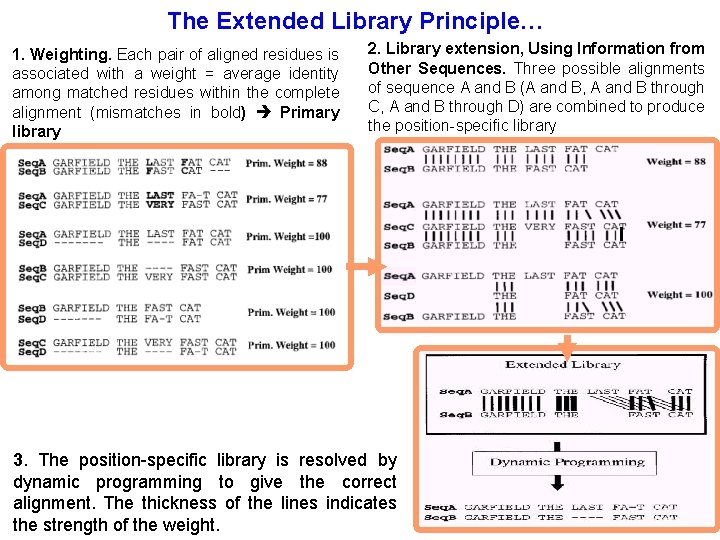 The Extended Library Principle… 1. Weighting. Each pair of aligned residues is associated with