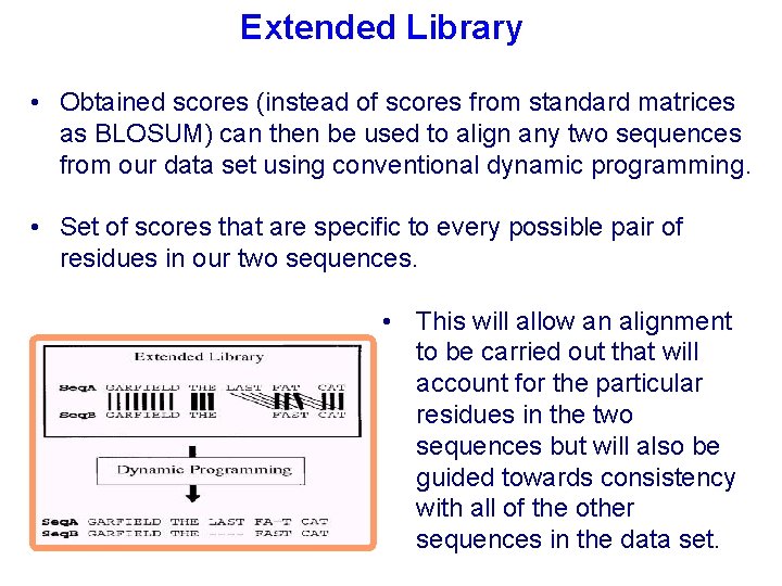 Extended Library • Obtained scores (instead of scores from standard matrices as BLOSUM) can