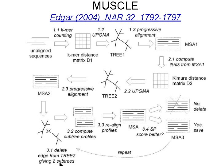 MUSCLE Edgar (2004) NAR 32, 1792 -1797 