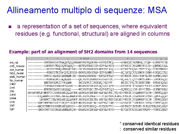 Allineamento multiplo di sequenze: MSA n a representation of a set of sequences, where