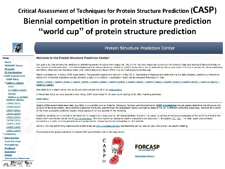 Critical Assessment of Techniques for Protein Structure Prediction ( CASP) Biennial competition in protein