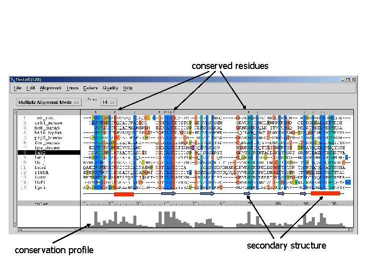 conserved residues conservation profile secondary structure 