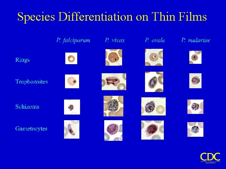 Species Differentiation on Thin Films 