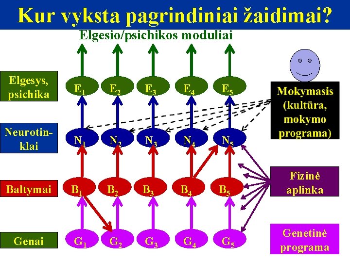 Kur vyksta pagrindiniai žaidimai? Elgesio/psichikos moduliai Elgesys, psichika E 1 E 2 E 3