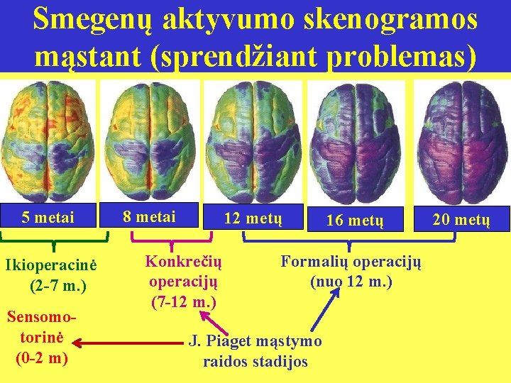 Smegenų aktyvumo skenogramos mąstant (sprendžiant problemas) 5 metai Ikioperacinė (2 -7 m. ) Sensomotorinė