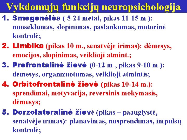 Vykdomųjų funkcijų neuropsichologija 1. Smegenėlės ( 5 -24 metai, pikas 11 -15 m. ):