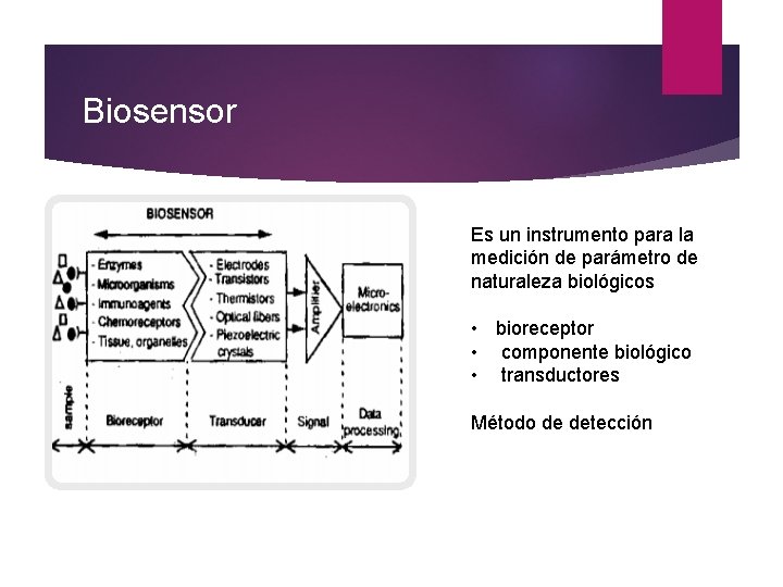 Biosensor Es un instrumento para la medición de parámetro de naturaleza biológicos • bioreceptor
