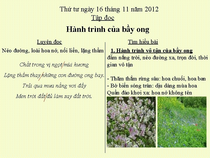 Thứ tư ngày 16 tháng 11 năm 2012 Tập đọc Hành trình của bầy