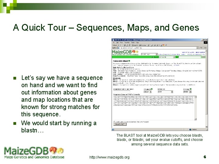 A Quick Tour – Sequences, Maps, and Genes n n Let’s say we have