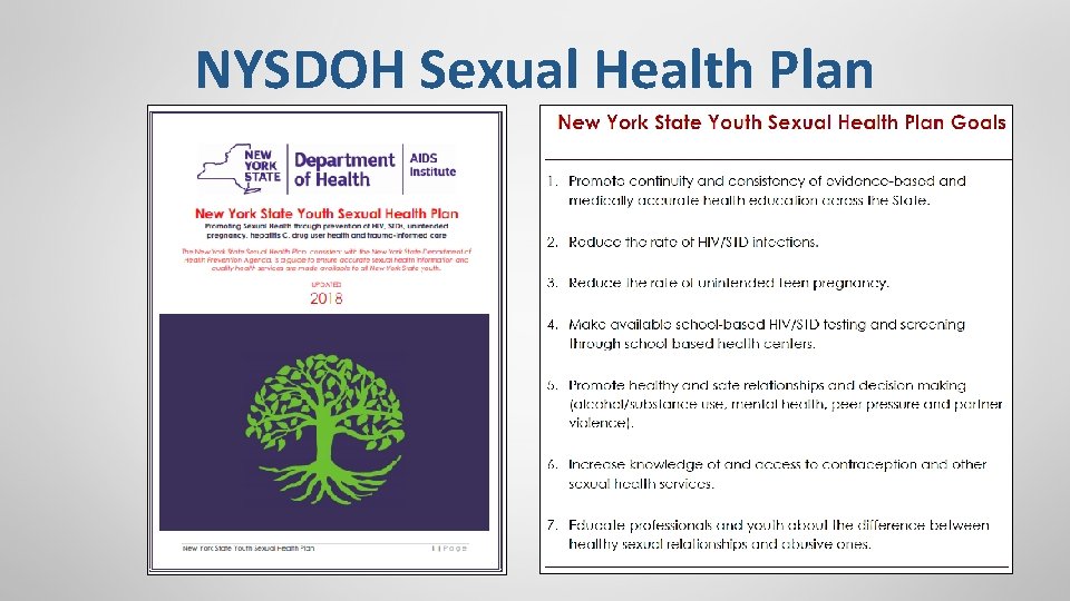 NYSDOH Sexual Health Plan The NYS Department of Health Youth Sexual Health Plan is