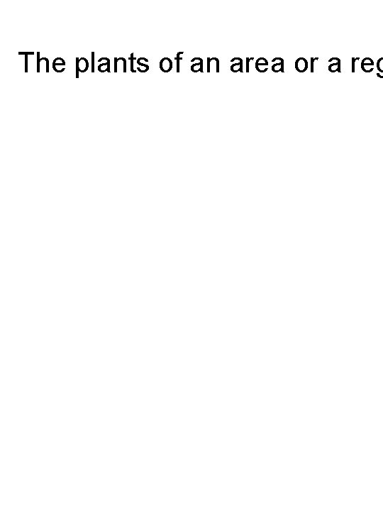 The plants of an area or a reg 