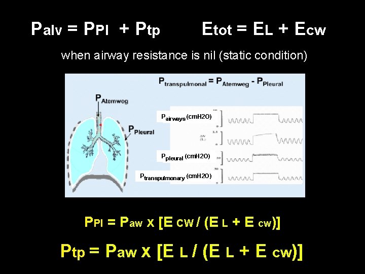 Palv = PPl + Ptp Etot = EL + Ecw when airway resistance is Palv = PPl + Ptp Etot = EL + Ecw when airway resistance is