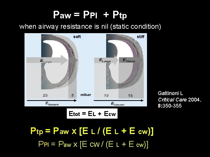 Paw = PPl + Ptp when airway resistance is nil (static condition) soft stiff Paw = PPl + Ptp when airway resistance is nil (static condition) soft stiff