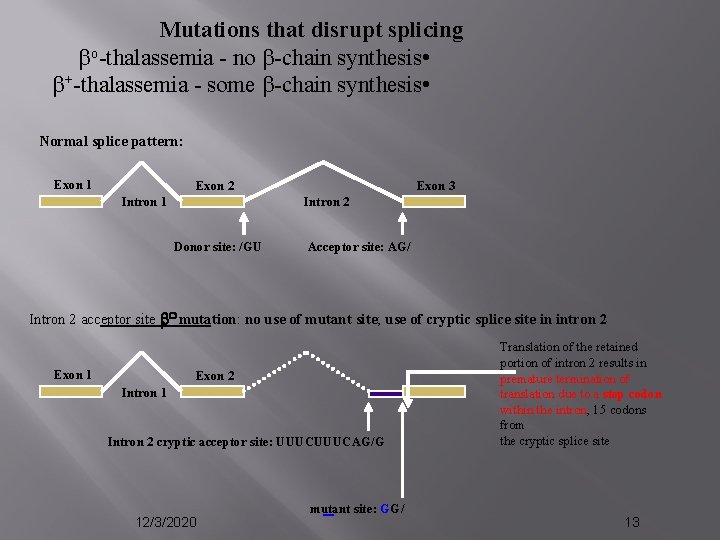 Mutations that disrupt splicing bo-thalassemia - no b-chain synthesis • b+-thalassemia - some b-chain