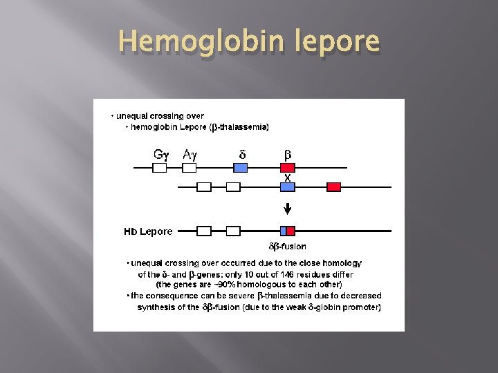 Hemoglobin lepore 