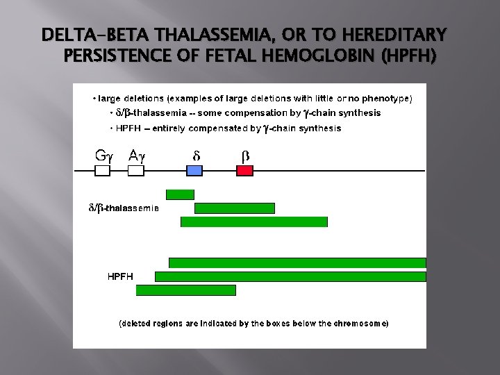 DELTA-BETA THALASSEMIA, OR TO HEREDITARY PERSISTENCE OF FETAL HEMOGLOBIN (HPFH) 