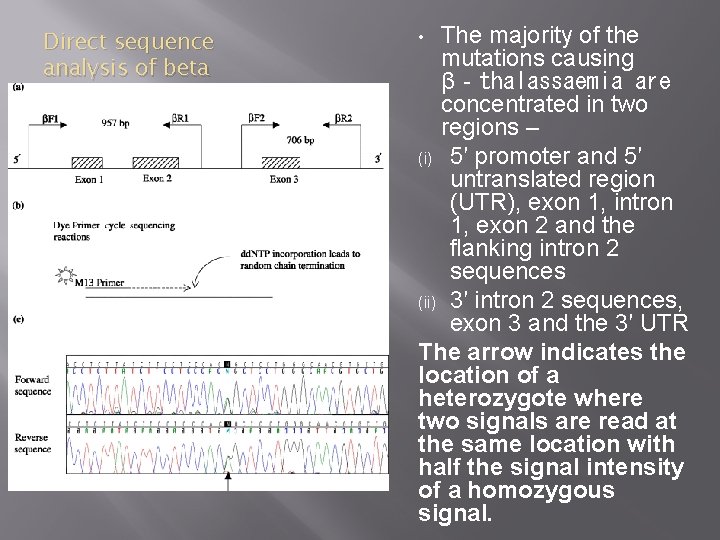 Direct sequence analysis of beta globin genes The majority of the mutations causing β‐thalassaemia