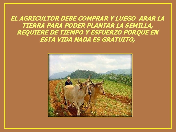 EL AGRICULTOR DEBE COMPRAR Y LUEGO ARAR LA TIERRA PARA PODER PLANTAR LA SEMILLA,