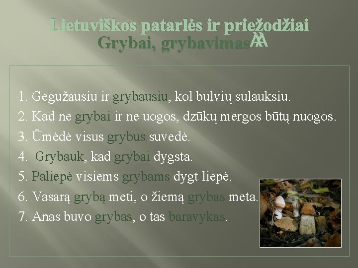 Lietuviškos patarlės ir priežodžiai Grybai, grybavimas 1. Gegužausiu ir grybausiu, kol bulvių sulauksiu. 2.