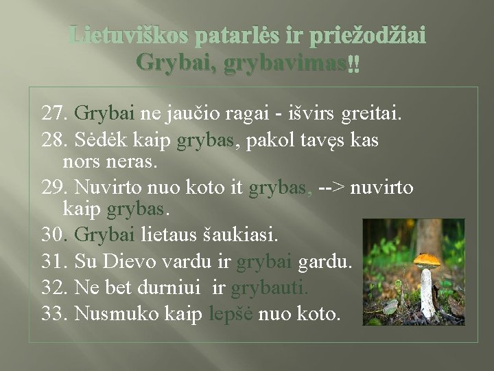 Lietuviškos patarlės ir priežodžiai Grybai, grybavimas 27. Grybai ne jaučio ragai - išvirs greitai.